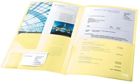 gbc 17325, Busta a L DOPPIE formato A4 - PPL antiriflesso, ASSORTITI. Ex codice Esselte 173250,  marchio ESSELTE.