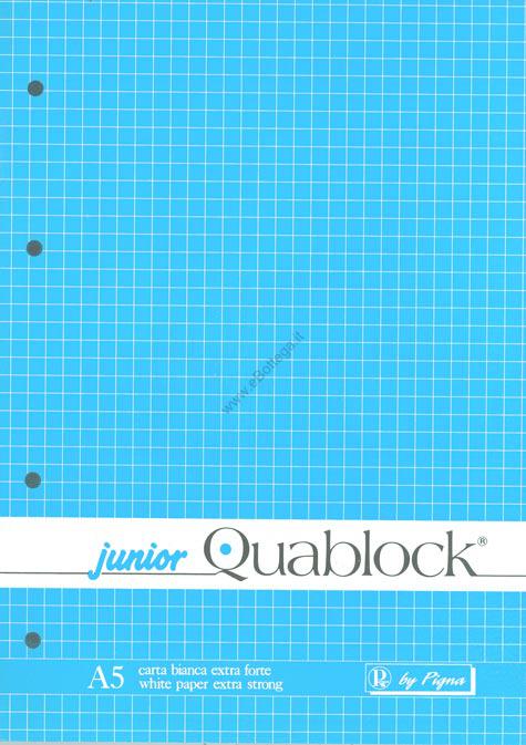 Blocco Quablock Original collato - ricambi forati - A4 - 5 mm - 80 gr - 50  fogli - Pigna su