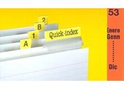 gbc Cavalierini Quick Index Strips ARANCIONE Ultra resistenti in poliestere. Si fissano su due lati con un forte adesivo permanente. Striscie tagliabili nella misura desiderata. Linserto contiene lettere A-Z, numeri 1-53, mesi gen-dic, orizzontali e verticali 3EL251037
