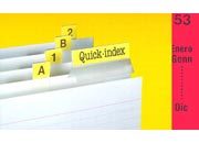 gbc Cavalierini Quick Index Strips ROSSO Ultra resistenti in poliestere. Si fissano su due lati con un forte adesivo permanente. Striscie tagliabili nella misura desiderata. Linserto contiene lettere A-Z, numeri 1-53, mesi gen-dic, orizzontali e verticali 3EL251047