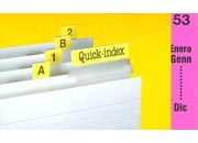 gbc Cavalierini Quick Index Strips CICLAMINO Ultra resistenti in poliestere. Si fissano su due lati con un forte adesivo permanente. Striscie tagliabili nella misura desiderata. Linserto contiene lettere A-Z, numeri 1-53, mesi gen-dic, orizzontali e verticali 3EL251057