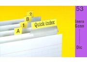 gbc Cavalierini Quick Index Strips VIOLA Ultra resistenti in poliestere. Si fissano su due lati con un forte adesivo permanente. Striscie tagliabili nella misura desiderata. Linserto contiene lettere A-Z, numeri 1-53, mesi gen-dic, orizzontali e verticali 3EL251067