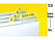 gbc Cavalierini Quick Index Strips BIANCO Ultra resistenti in poliestere. Si fissano su due lati con un forte adesivo permanente. Striscie tagliabili nella misura desiderata. Linserto contiene lettere A-Z, numeri 1-53, mesi gen-dic, orizzontali e verticali, s251503, 10503.