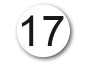 wereinaristea Bollini autoadesivi, numero 17, diametro mm 10 in rotolo con dispenser da 5000 etichette BRA2951