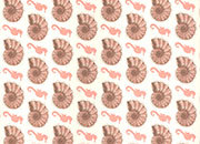 carta Carta Regalo Conchiglie, A4, 65gr Carta patinata da 65gr/mq. Formato: 100x70cm BRA3446