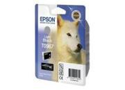 consumabili C13T09674010  EPSON CARTUCCIA INK-JET GRIGIO BLISTER+ALLARME RADIOFREQUENZA STYLUS PHOTO R/2880 EPSC13T09674010
