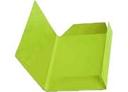 carta Folder 3 Lembi Luce 200, PISTACCHIO 54 formato BC (24,5X34,5cm), 200gr, 25 cartelline FAVA50M434