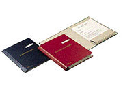 gbc CARTELLE POSTA IN PARTEN  FRS601