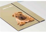 carta CARTELLINA 3 LEMBI AMICO MIO con elastico, formato T4 (25x35cm).