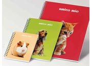 carta SPIRAL AMICO MIO quadro 5mm, formato A4 (21x29,7cm), 85gr, 60 fogli FAVA295064