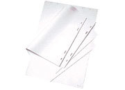 gbc Blocco di Fogli di Ricambio per Lavagne Portablocco NOBO Dimensioni: 67,5x97,5cm. Fogli Quadrettati. 20 . GBC1901632