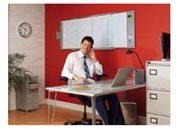 gbc Planning Magnetico PERFORMANCE PLUS GANNT Formato: 61x185cm GBC1902387