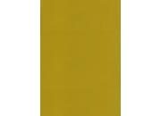 gbc Copertine in polipropilene MetallicRange Oro formato: A4. Spessore: 450 micron. A prova di graggio e impermeabili, colori metallizzati secondo la nuova tendenza dell&rsquo;ufficio moderno GBC2100996E