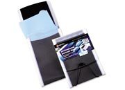 acco Cartella archivio Acco Rexel a 5 scomparti. Professional Portrait File A4,  Prodotto in Polipropilene. Cartella archivio in formato verticale. Contiene 5 buste ad L opache dotate di indice portaetichetta (10 etichette adesive incluse). Ampio soffietto. Chiusura con patella ed elastico. 33/08 GBC2101126