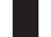 gbc Copertine in cartoncino per rilegatura NERO, 170gr, formato A4, liscio,  bra170nero