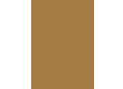 gbc Copertine in cartoncino per rilegatura TABACCO, 170gr, formato A4, liscio,  bra170tabacco