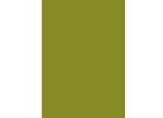 gbc Copertine in cartoncino per rilegatura VERDE OLIVA, 170gr, formato A4, liscio,  bra170verdeoliva