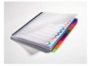 gbc Divisori per documenti rilegati 10 Tasti. Colore: blu, viola, rosa, arancione, verde GBC4400386