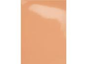 gbc Copertine in cartoncino per rilegatura Perlato BLUSH PERLATO, 250gr, formatoA4, monolucido,  GBC53082