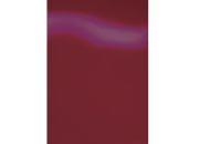 gbc Copertine in cartoncino per rilegatura Perlato RUBY PERLATO, 250gr, formatoA4, monolucido,  GBC53097