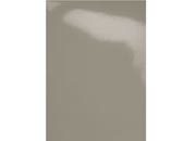 gbc Copertine in cartoncino per rilegatura Perlato QUARTZ PERLATO, 250gr, formatoA4, monolucido,  GBC53098