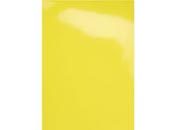 gbc Copertine in Cartoncino per Rilegatura Chromogloss GBC Formato: A4. Colore: Giallo. Spessore: 250 micron GBCCE020060