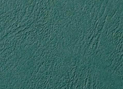 carta CopertineCartoncino AntelopeLeatherGrain, VerdeScuro, 250gr, A4 VERDE SCURO. Formato: A4. Finitura: Goffrata. Spessore: 250 grammi GBCCE040045