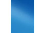 gbc Copertine per Rilegatura in Polipropilene PolyOpaque Formato: A4. Colore: Blu. Spessore: 300 micron GBCIB386800