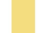 gbc Copertine in cartoncino per rilegatura AVORIO, 200gr, formato A4, plastificato,  bra200avorioplast