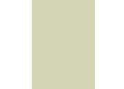 gbc Copertine in cartoncino per rilegatura GRIGIO, 200gr, formato A4, plastificato,  bra200grigioplast