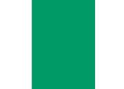 gbc Copertine in cartoncino per rilegatura VERDE, 200gr, formato A4, liscio,  bra200verde