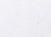 gbc Copertine in Cartoncino Similpelle per Rilegatura Regency GBC Formato: A4. Colore: Bianco. Spessore: 325 micron.