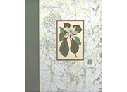 gbc Album foto a tasca per 120 foto. Ogni facciata contiene 2 foto 10x15cm Formato volume 20x23cm. Copertine soggetto -Fiore bianco-. Rilegatura cartonata rigida LEB2327