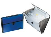 gbc Portadocumenti in PP con bordatura in nylon, con impugnatura 13 scomparti con targhette indicatrici, colori assortiti, formato: 33,5x23,5x4 cm LEB2572