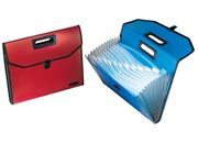 gbc Portadocumenti in PP con bordatura in nylon, con impugnatura 13 scomparti con targhette indicatrici, colori assortiti, formato: 39x30x4 cm LEB2573