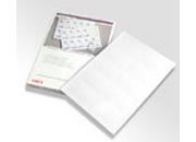 consumabili Biglietti da visita pre-fustellati confezione da 50 fogli OKI09002985