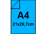carta: bra1271