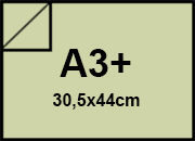 carta CartoncinoEcologioco ShiroTreeFREE, 250gr, a3+, PISTACCHIO Formato a3+ (30,5x44cm), 250grammi x mq BRA1163a3+
