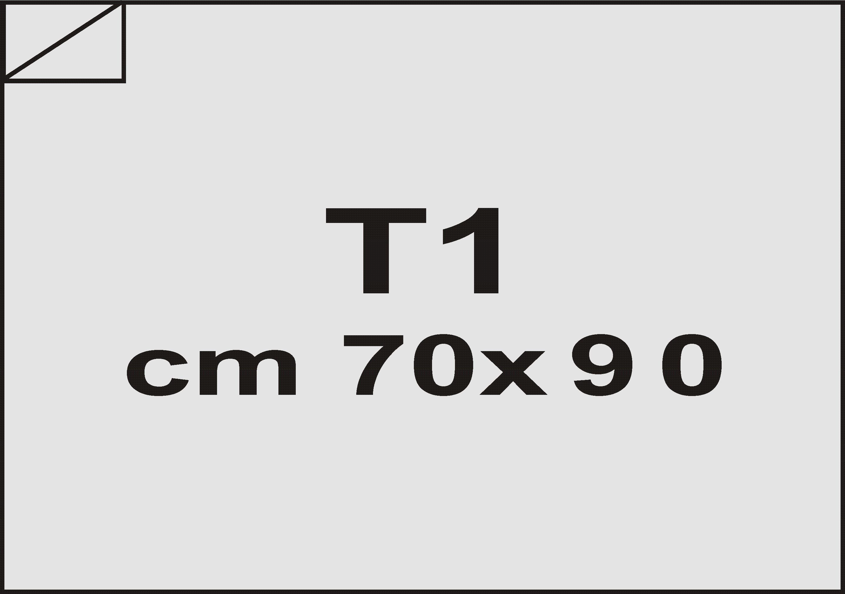 carta Cartone Cartone accoppiato Grigio bilucido 3mm, formato 70x90 (70x90cm), 1900grammi x mq bra141670x90