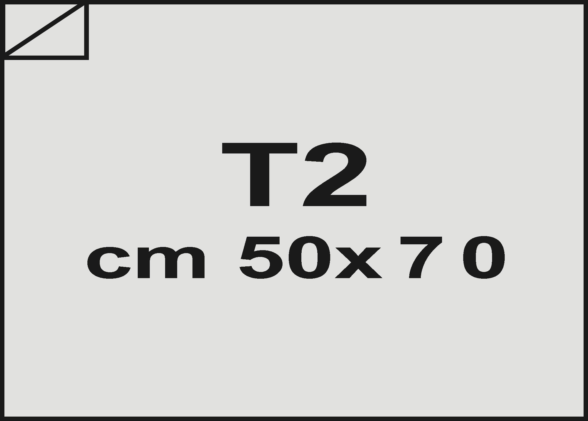 carta Cartone monolucido100, 0,5mm, 350gr, t2 GRIGIO, formato t2 (50x70cm), 350grammi x mq.