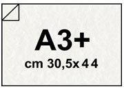 carta Carta MarinaPergamenata, Perla a3+, 90gr Formato a3+ (30,5x44cm), 90grammi x mq bra657a3+