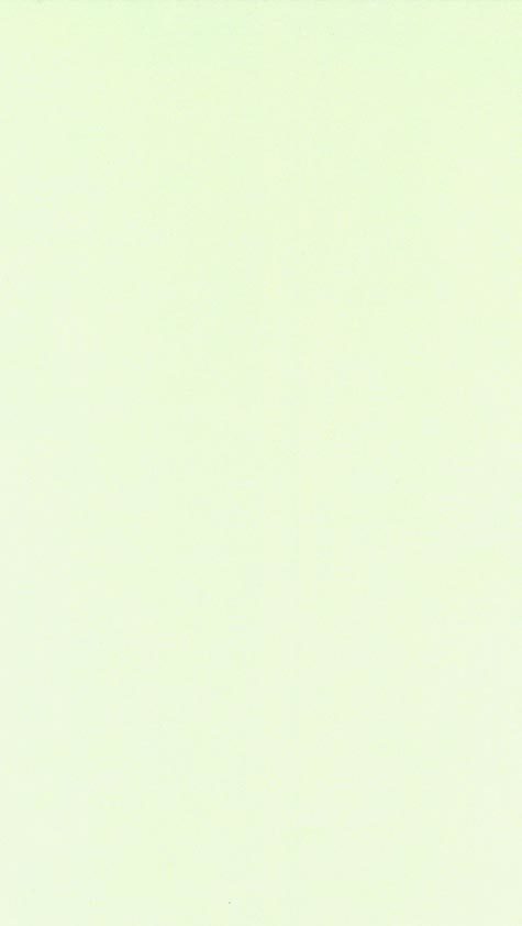 QPaper GLAMOUR Verde rugB722.53.12 - immagine aggiuntiva