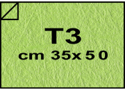 carta Cartoncino Twist Favini Verde, formato T3 (35x50cm), 290grammi x mq bra1839T3