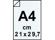 carta: bra341