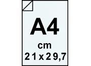 carta: bra135