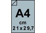 carta: bra535