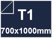 carta: 100T1