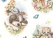 carta Carta regalo, cane/gatto, A4, 65gr Carta patinata da 65gr/mq. Formato: 100x70cm.