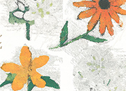 carta Carta Regalo BiancoFiori, A4, 65gr Carta patinata da 65gr/mq. Formato: 100x70cm.