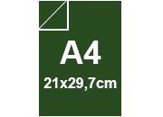 carta: bra1164
